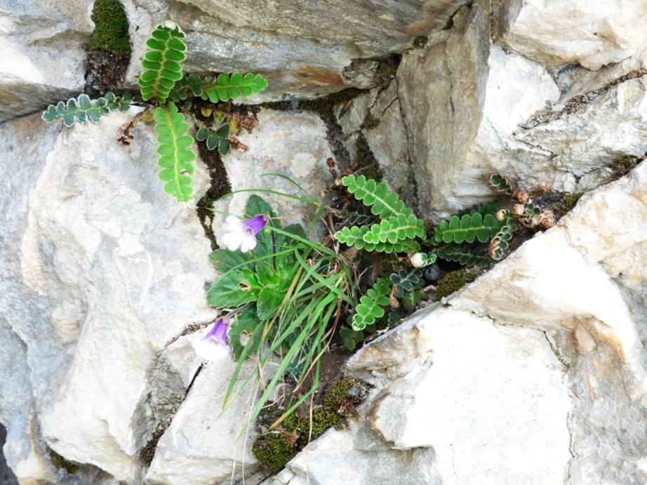 Nestos, Meer Und Berge - Griechenland Mal Anders Zarkadhiá Exteriér fotografie